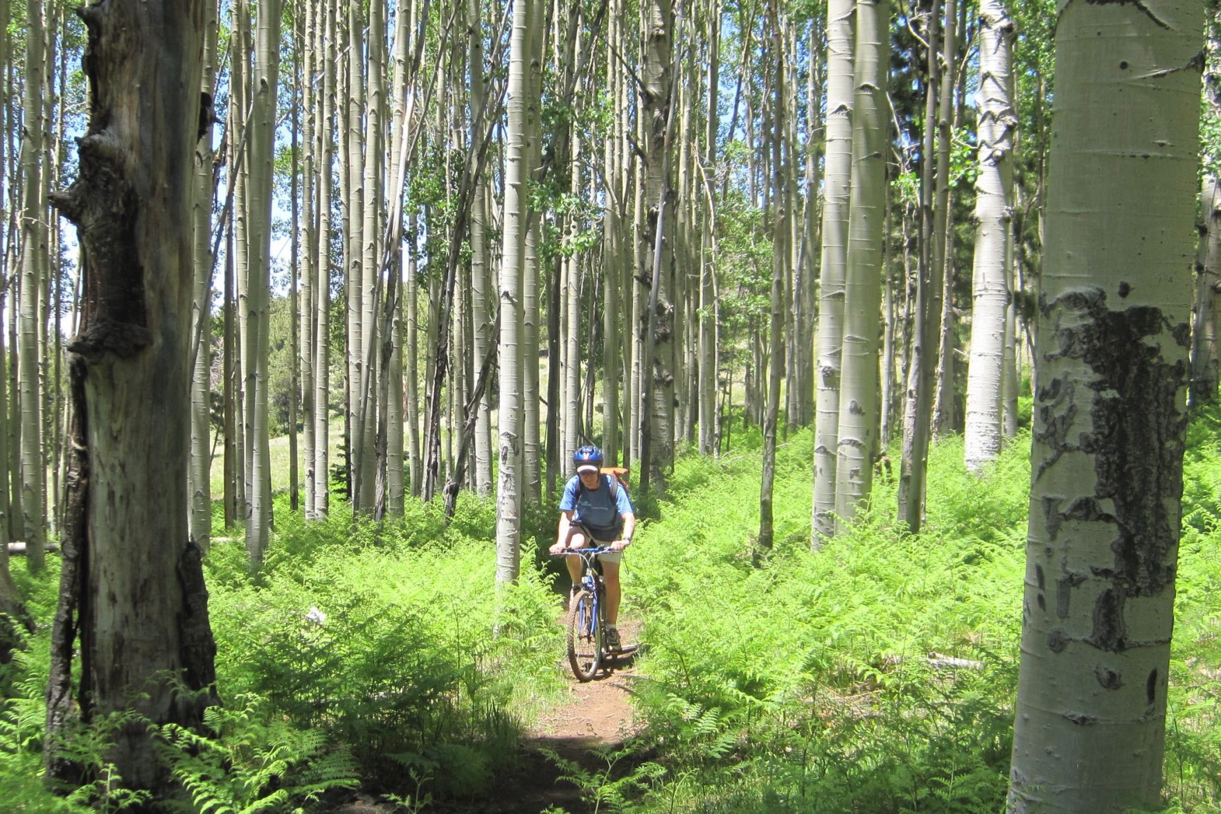 arizona trail biking